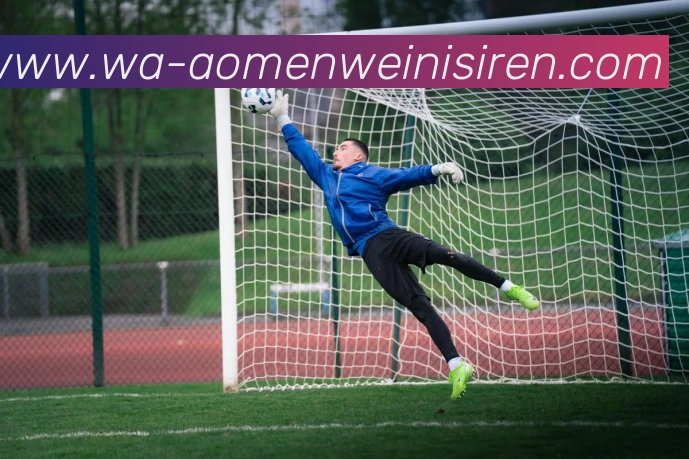 威尼斯人线上娱乐APP 高清赛事图